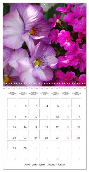 Produktbild: Kruse, G: Printemps toute l'ann&eacute;e (Calendrier mural carr&eacute; 20