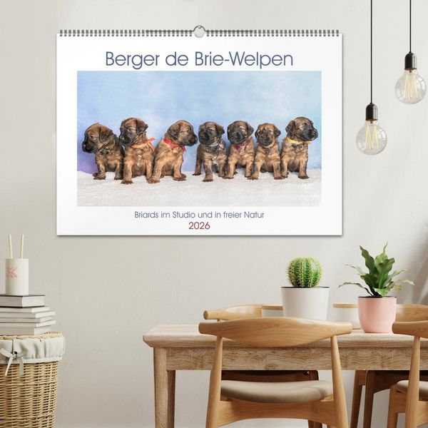 Produktbild: Berger de Brie - Welpen (Wandkalender 2026 DIN A2 quer), CALVENDO Monatskalender