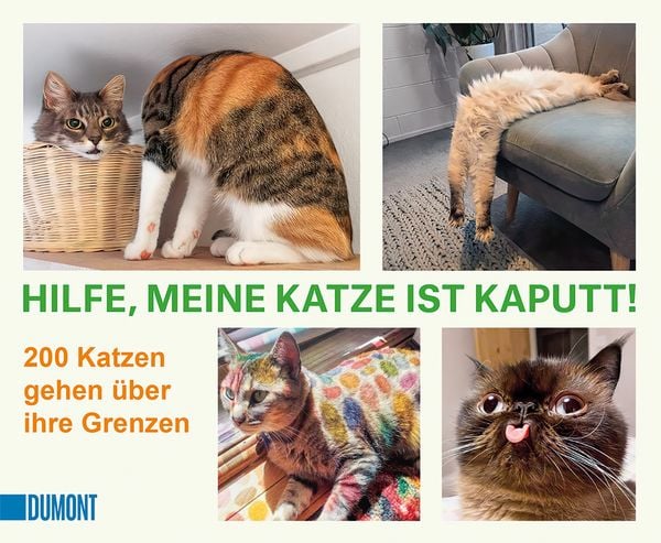 Produktbild: Hilfe, meine Katze ist kaputt