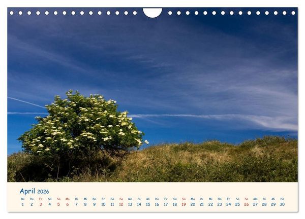 Produktbild: Urlaub auf Borkum (Wandkalender 2026 DIN A4 quer), CALVENDO Monatskalender