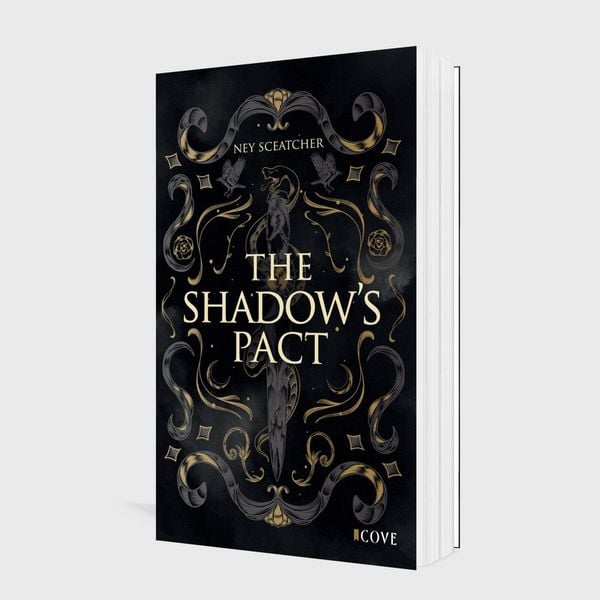 Produktbild: Daughters of the Fallen Gods 1: The Shadow's Pact