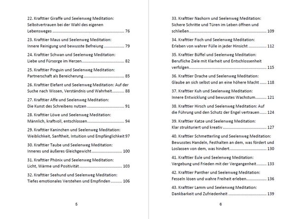 Produktbild: 52 Seelenweg und Krafttier Meditationen