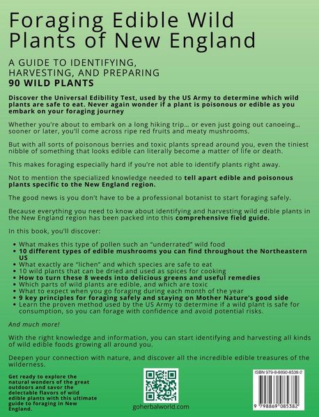Produktbild: Foraging Edible Wild Plants of New England