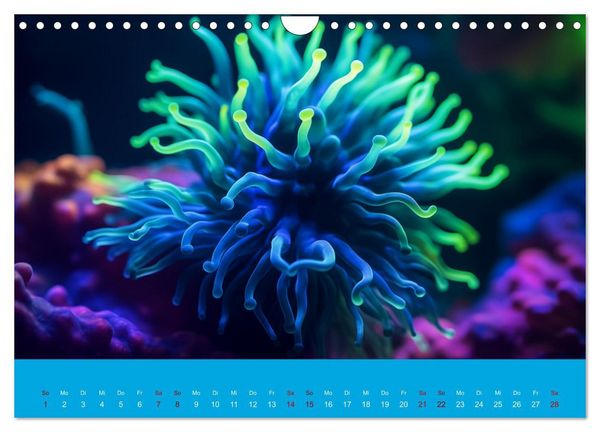 Produktbild: Farbenpracht im Ozean - Die Sch&ouml;nheit der Korallen (Wandkalender 2026 DIN A4 quer), CALVENDO Monatskalender