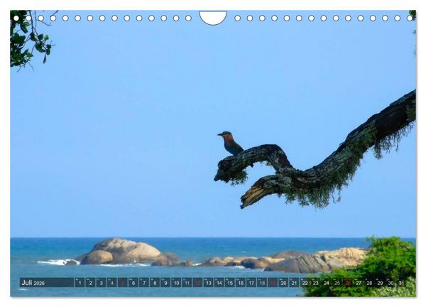 Produktbild: Sri Lanka - Eine Bilder-Reise (Wandkalender 2026 DIN A4 quer), CALVENDO Monatskalender