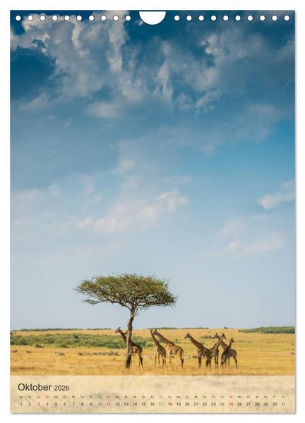 Produktbild: Emotionale Momente: Giraffen, die h&ouml;chsten Tiere der Welt. (Wandkalender 2026 DIN A4 hoch), CALVENDO Monatskalender