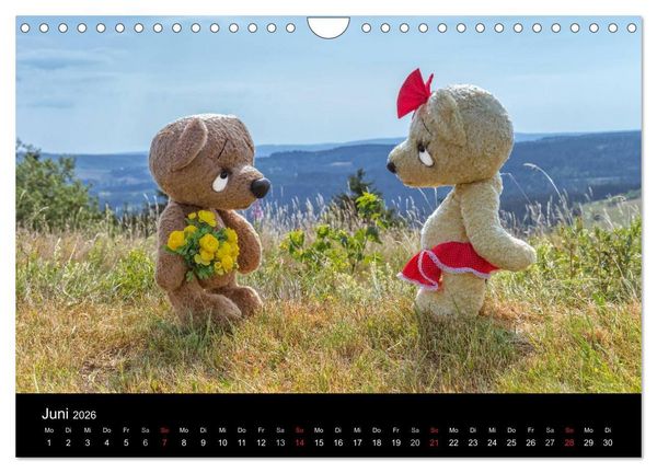 Produktbild: Martin B&auml;ren (Wandkalender 2026 DIN A4 quer), CALVENDO Monatskalender
