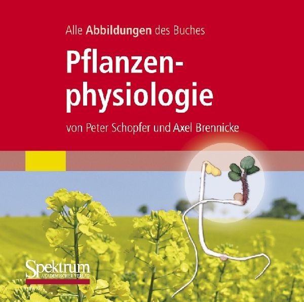 Alle Grafiken des Lehrbuchs Pflanzenphysiologie  - Onlineshop Thalia
