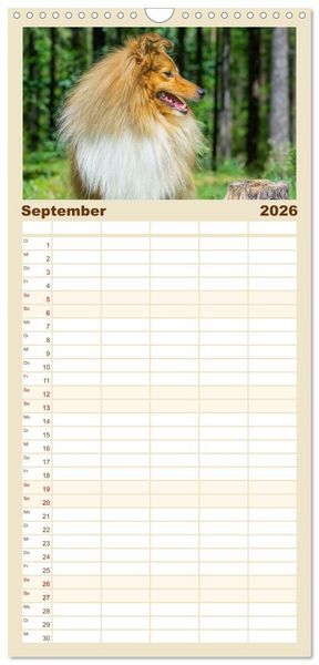 Produktbild: Familienplaner 2026 - Sheltie - Ein St&uuml;ck vom Gl&uuml;ck mit 5 Spalten (Wandkalender, 21 x 45 cm) CALVENDO
