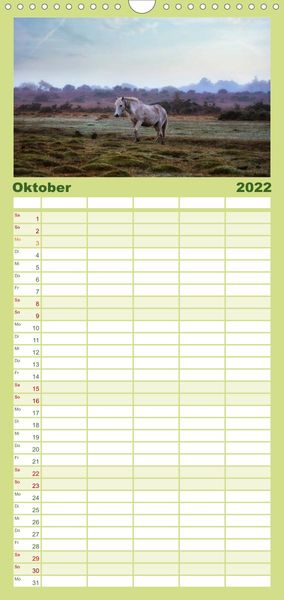 Produktbild: New Forest - England - Familienplaner hoch (Wandkalender 2022 , 21 cm x 45 cm, hoch)