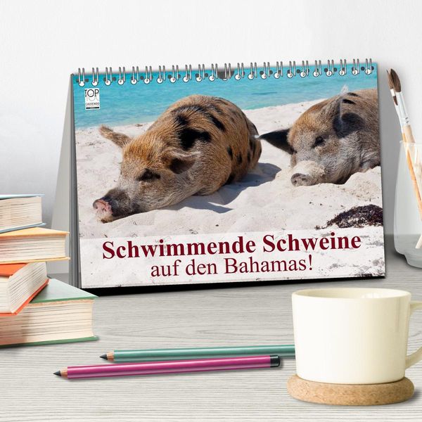 Produktbild: Schwimmende Schweine auf den Bahamas! (Tischkalender 2026 DIN A5 quer), CALVENDO Monatskalender
