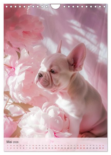 Produktbild: Bulldoggen (Wandkalender 2026 DIN A4 hoch), CALVENDO Monatskalender