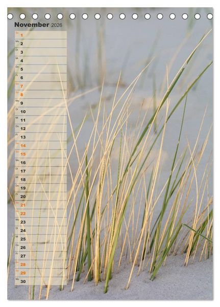 Produktbild: Zwischen D&uuml;nen und Watt / Geburtstagskalender (Tischkalender 2026 DIN A5 hoch), CALVENDO Monatskalender