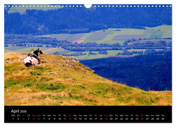 Produktbild: Austrian Summer (Wall Calendar 2026 DIN A3 landscape), CALVENDO 12 Month Wall Calendar