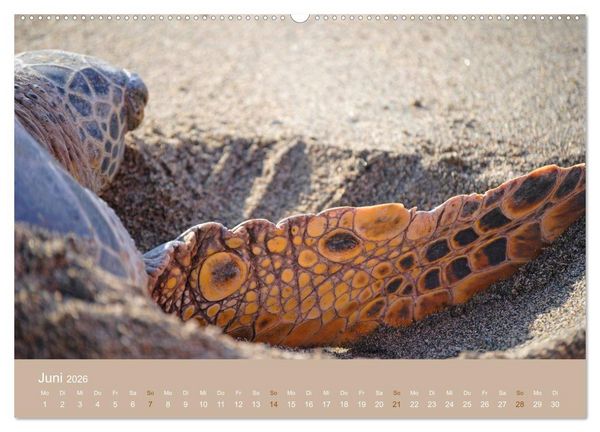 Produktbild: Hawaii Paradies auf Erden (Wandkalender 2026 DIN A2 quer), CALVENDO Monatskalender