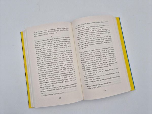 Produktbild: Niemands T&ouml;chter