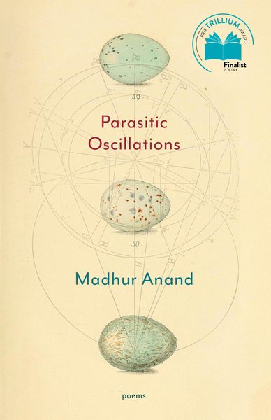 Produktbild: Parasitic Oscillations