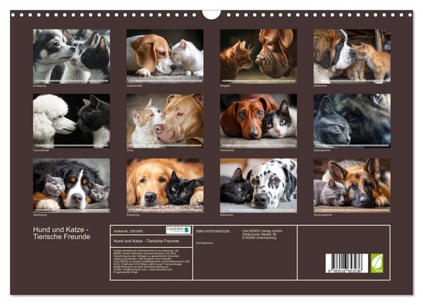 Produktbild: Hund und Katze - Tierische Freunde (Wandkalender 2026 DIN A3 quer), CALVENDO Monatskalender