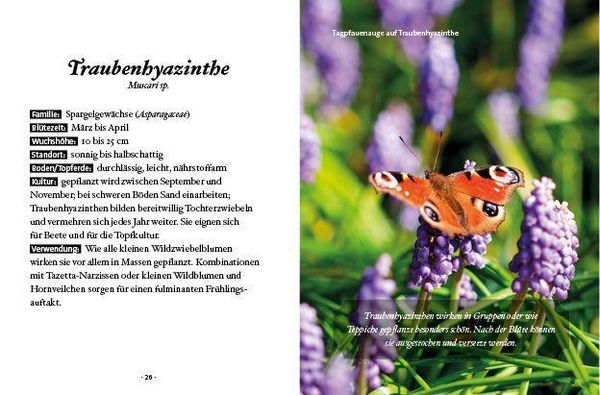 Produktbild: Das kleine Buch: Mein Garten für Bienen & Schmetterlinge