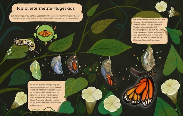 Produktbild: Kleine Geschichten aus der Natur