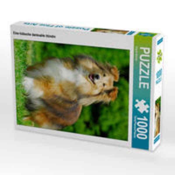 CALVENDO Puzzle Eine hübsche darksable Hündin 1000 Teile Lege-Größe 48 x 64 cm Foto-Puzzle Bild von Sigrid Starick