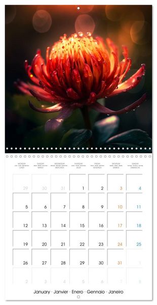 Produktbild: &Eacute;clats naturels (Calendrier mural carr&eacute; 2026 30x30 cm) Calendrier double avec une page pour vos prises de notes