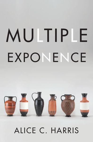Produktbild: Multiple Exponence