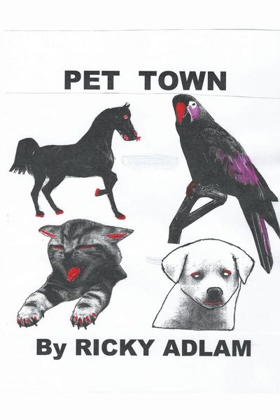 Produktbild: Pet Town