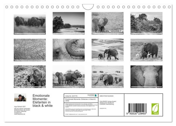 Produktbild: Emotionale Momente: Elefanten in black & white (Wandkalender 2026 DIN A4 quer), CALVENDO Monatskalender