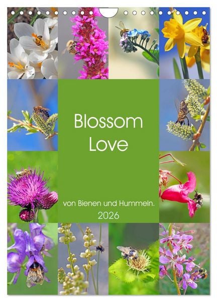 Produktbild: Blossom Love, von Bienen und Hummeln (Wandkalender 2026 DIN A4 hoch), CALVENDO Monatskalender
