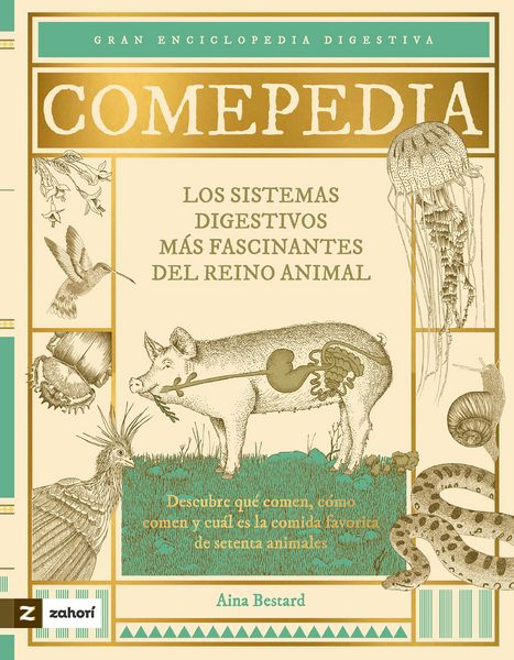Produktbild: Comepedia
