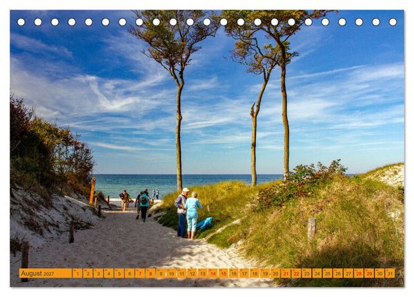 Produktbild: Wilder Dar&szlig;er Weststrand (Tischkalender 2027 DIN A5 quer), CALVENDO Monatskalender