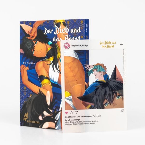 Produktbild: Der Dieb und das Biest