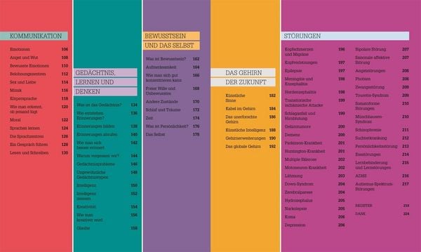 Produktbild: #dkinfografik. Das menschliche Gehirn und wie es funktioniert