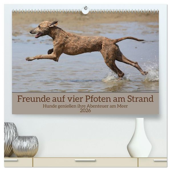 Produktbild: Freunde auf vier Pfoten am Strand (hochwertiger Premium Wandkalender 2026 DIN A2 quer), Kunstdruck in Hochglanz