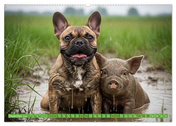 Produktbild: Muddi Buddies &ndash; Freundschaft im Matsch (hochwertiger Premium Wandkalender 2026 DIN A2 quer), Kunstdruck in Hochglanz