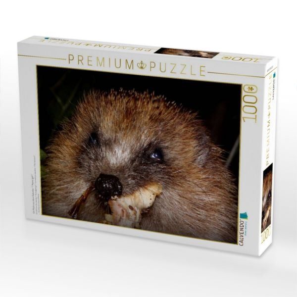 Produktbild: CALVENDO Puzzle Ein Motiv aus dem Kalender " Meine Igel" | 1000 Teile Lege-Gr&ouml;&szlig;e 64x48cm Foto-Puzzle f&uuml;r gl&uuml;ckliche Stunden