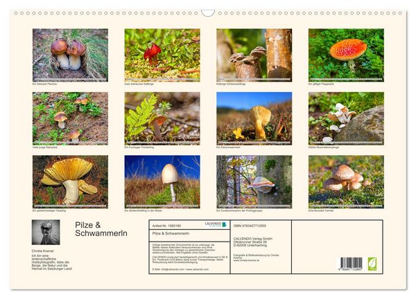 Produktbild: Pilze & Schwammerln (Wandkalender 2026 DIN A2 quer), CALVENDO Monatskalender