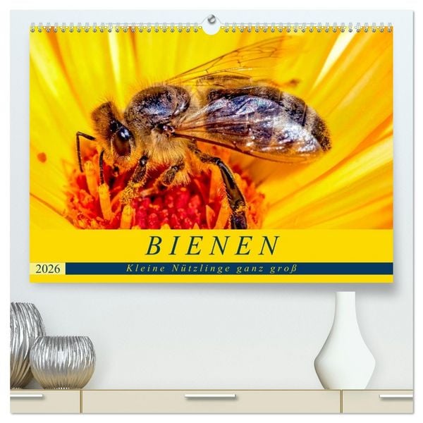 Produktbild: BIENEN - Kleine N&uuml;tzlinge ganz gro&szlig; (hochwertiger Premium Wandkalender 2026 DIN A2 quer), Kunstdruck in Hochglanz