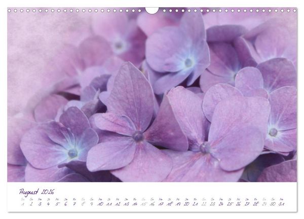 Produktbild: Lila Bl&uuml;ten (Wandkalender 2026 DIN A3 quer), CALVENDO Monatskalender