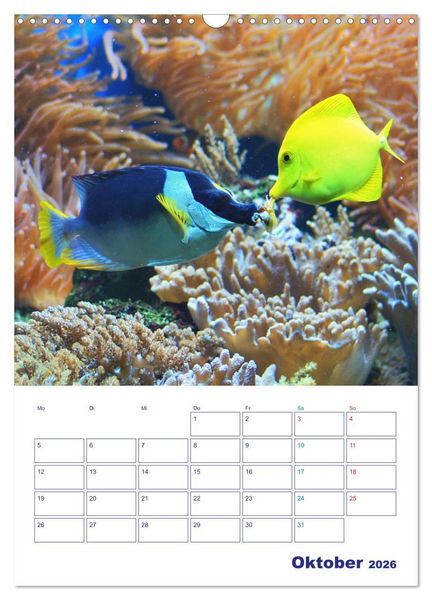 Produktbild: Bunte Meereswelten (Wandkalender 2026 DIN A3 hoch), CALVENDO Monatskalender