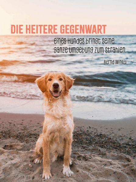 Produktbild: Hunde sind die besten Freunde