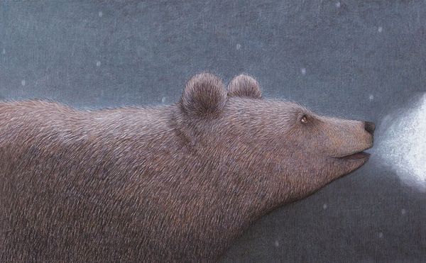 Produktbild: Die B&auml;rin