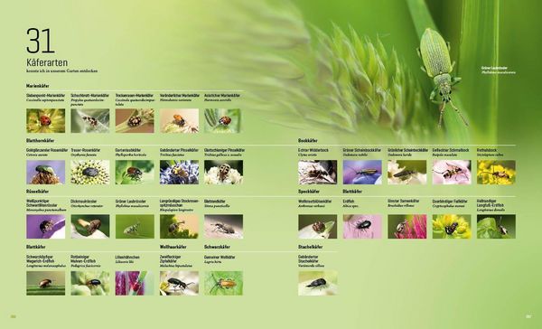 Produktbild: Mein Artenretter Garten
