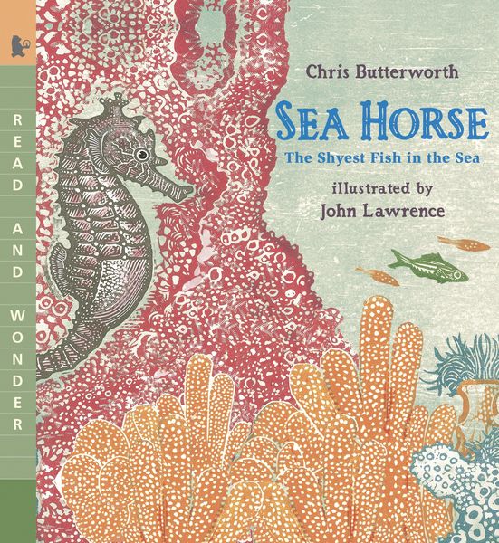 Produktbild: Sea Horse: The Shyest Fish in the Sea