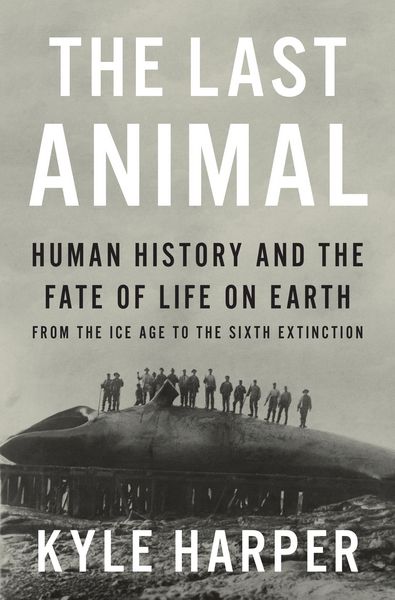 Produktbild: The Last Animal