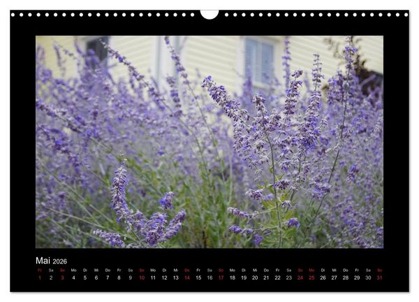 Produktbild: Nova Scotia & Prince Edward Island (Wandkalender 2026 DIN A3 quer), CALVENDO Monatskalender