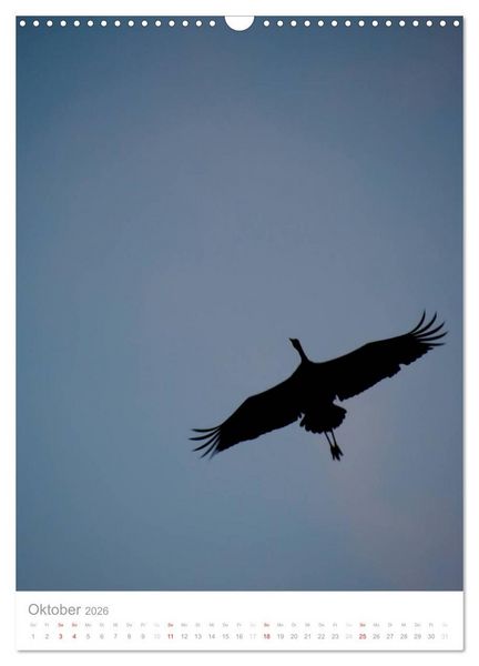 Produktbild: Der Flug der Kraniche (Wandkalender 2026 DIN A3 hoch), CALVENDO Monatskalender