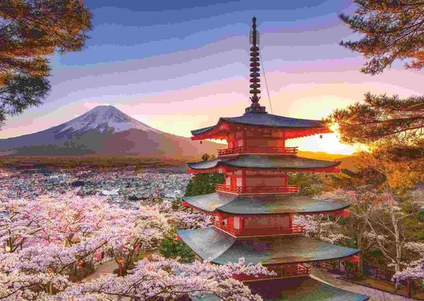Produktbild: Erwachsenenpuzzle 1000 Teile - Kirschbl&uuml;te in Japan