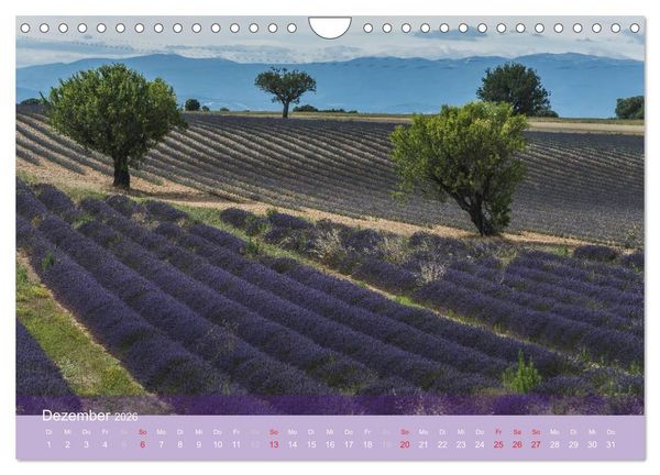 Produktbild: Die Farbe des Lavendels (Wandkalender 2026 DIN A4 quer), CALVENDO Monatskalender